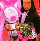 Wang Jin: To Marry a Mule (Zum Vergrern anklicken)