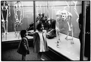 Artikelbild: Fotografie von Zoe Leonard, die Mädchen beim Besuch eines 
Naturkundemuseums zeigen.  - Foto: Zoe Leonard, Courtesy Galerie Capitain, Köln 