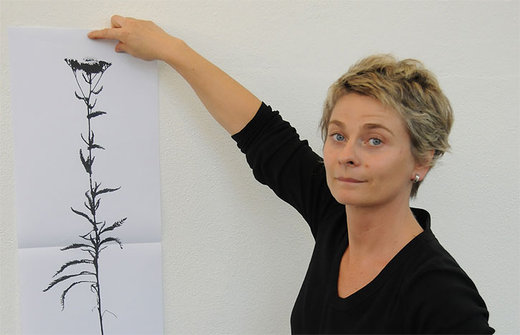 Pflanzenfunde, in aufwendigem Prozess in Wandfriese verwandelt: Cornelia Genschow im Grazer Museum der Wahrnehmung