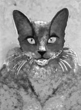 Illustration
- Stefanie Grüssl nähert sich dem Rätsel Katze.  Foto: Katalog 
