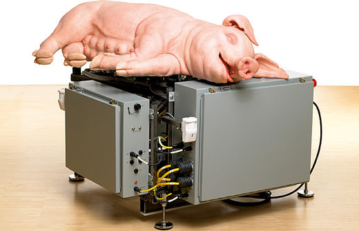 "Mechanical Pig" von Paul McCarthy