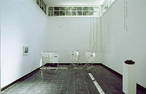48. Biennale in Venedig 1999, Rainer Ganahl