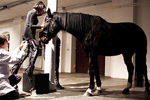 Artikelbild: "May the Horse Live in me"  - Foto: AEC / Miha Fras