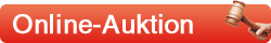 Online-Auktion